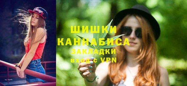 прущие грибы Осташков