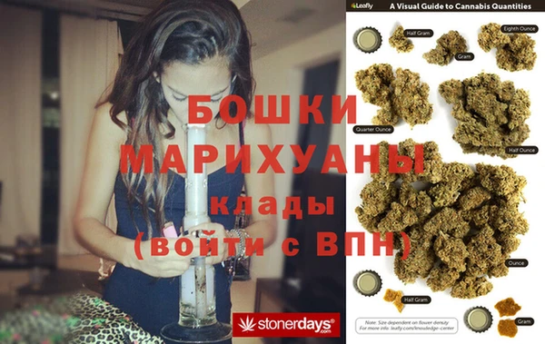 гидра Пересвет