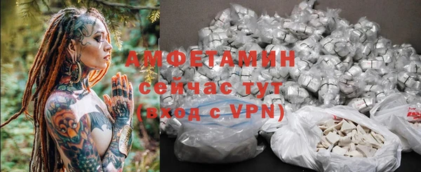 гидра Пересвет