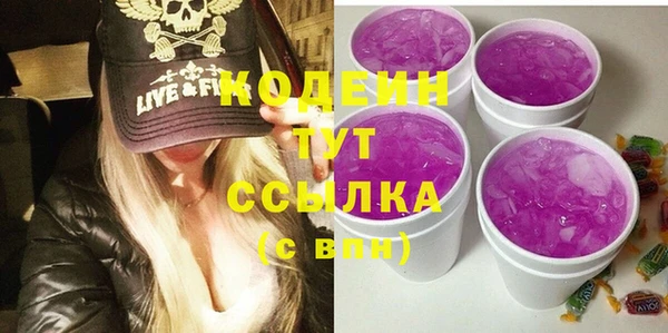 гидра Пересвет