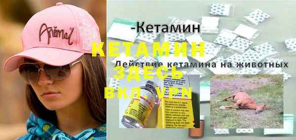 каннабис Дмитриев