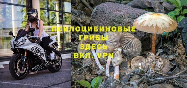 прущая мука Осинники