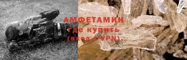 прущие грибы Осташков